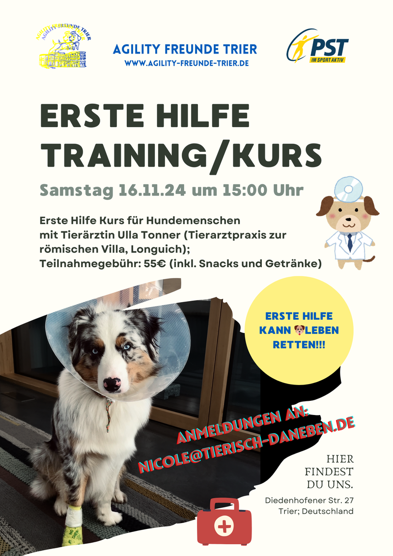 Erste Hilfe Kurs