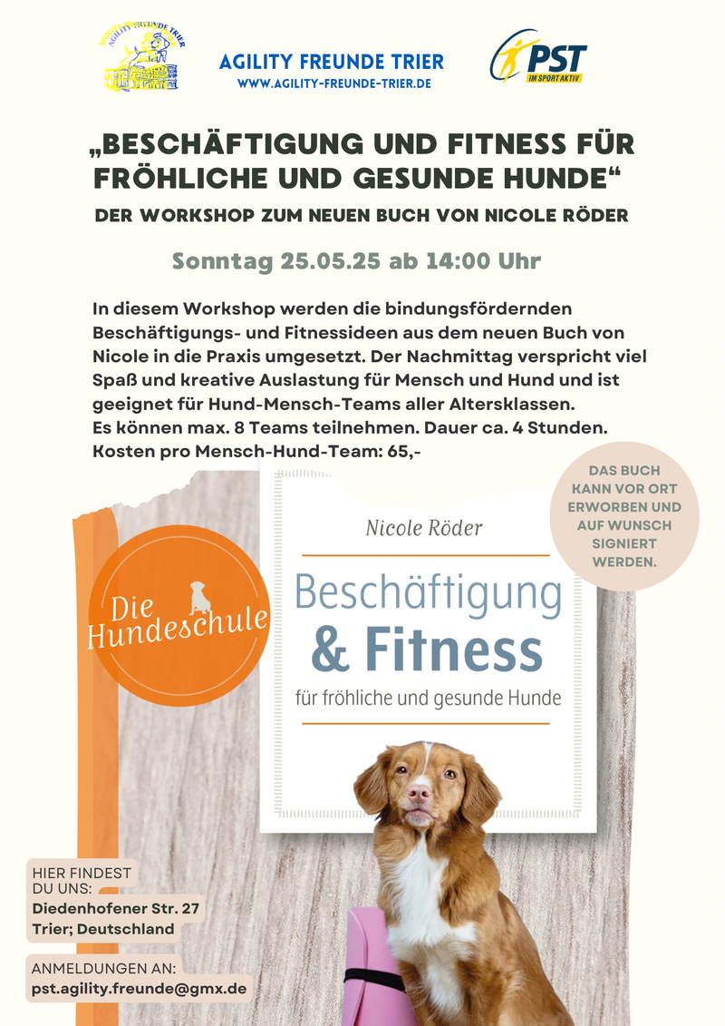 Beschäftigung und Fitness für fröhliche und gesunde Hunde