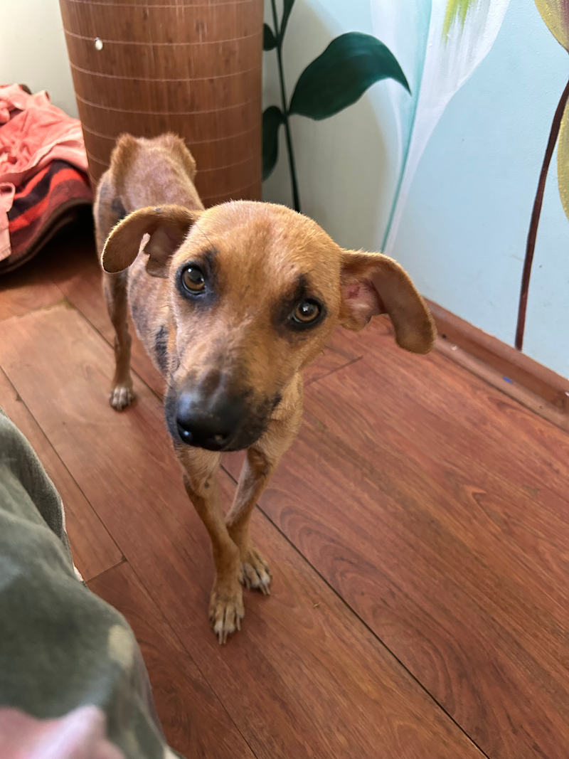 The Struggle Is Real