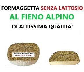 FORMAGGIO SENZA LATTOSIO CON IL FIENO