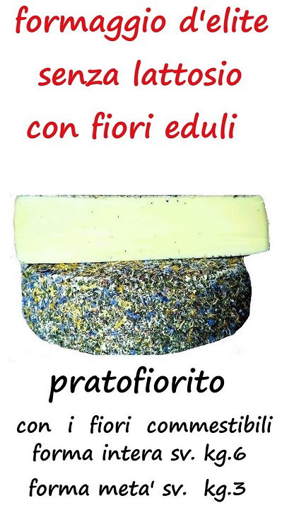 FORMAGGIO SENZA LATTOSIO CON I FIORI PRATAIOLI