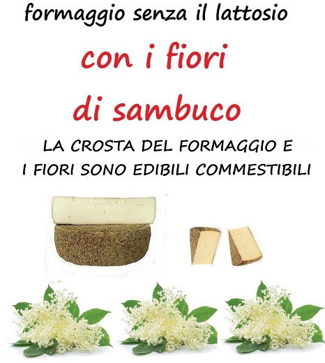 FORMAGGIO SENZA LATTOSIO CON I FIORI DI  SAMBUCO