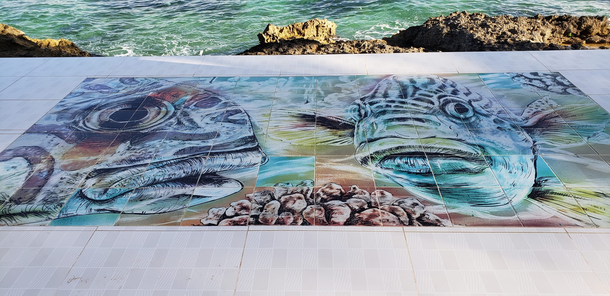 Peces (Bahía series)