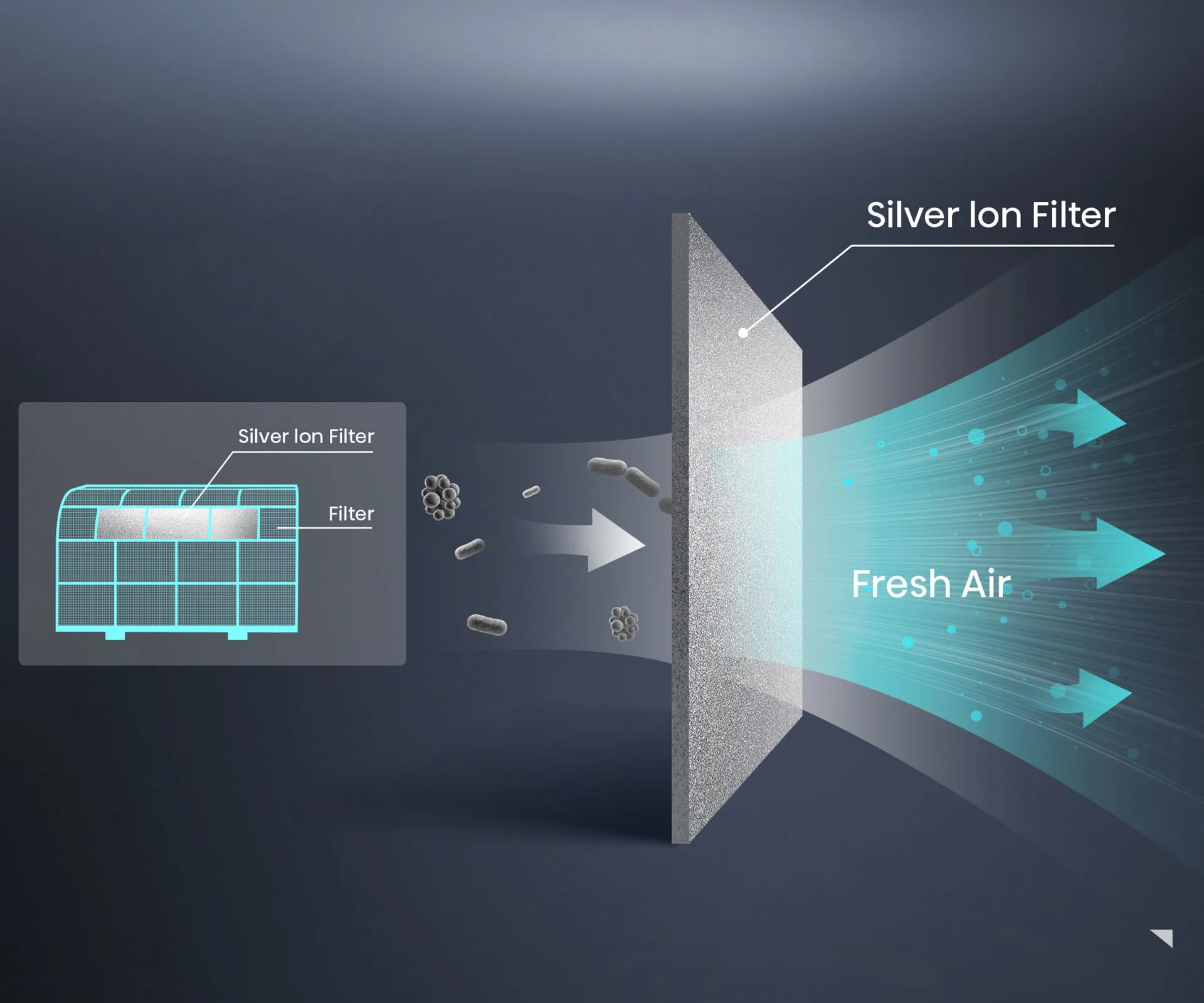 hisense Healthy Filter
