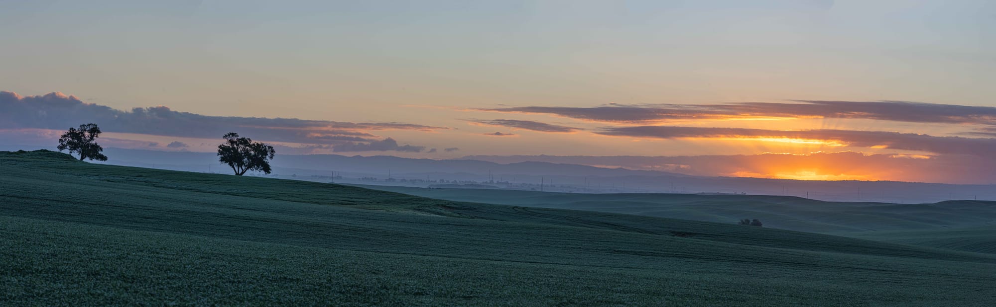 זריחה בבתרונות רוחמה