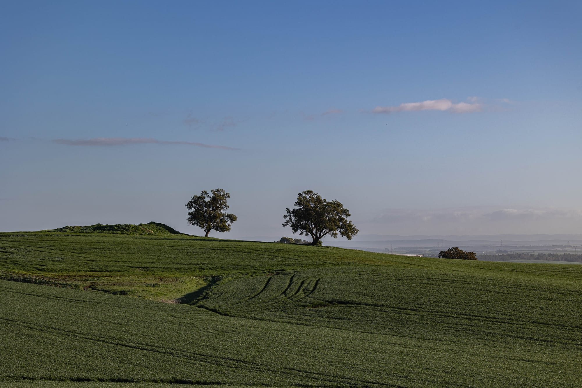 בתרונות רוחמה