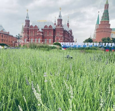 Emotional Governance in Wartime Russia: Pacification, Fear and the Manipulation of Hope