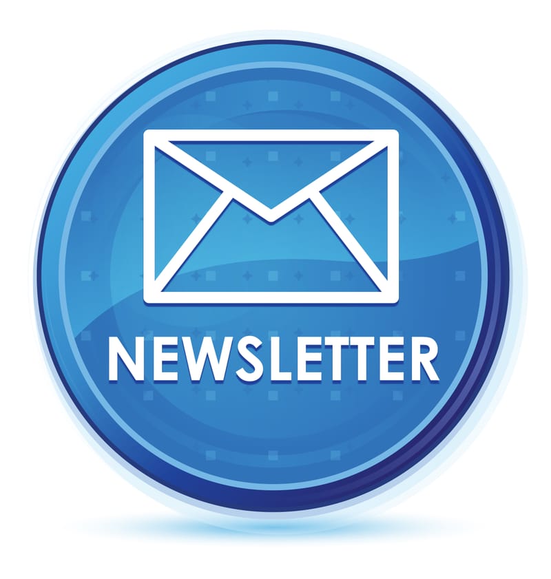 Newsletter #4
