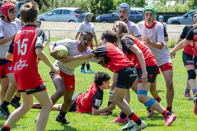 Photos d'action sur le terrain 