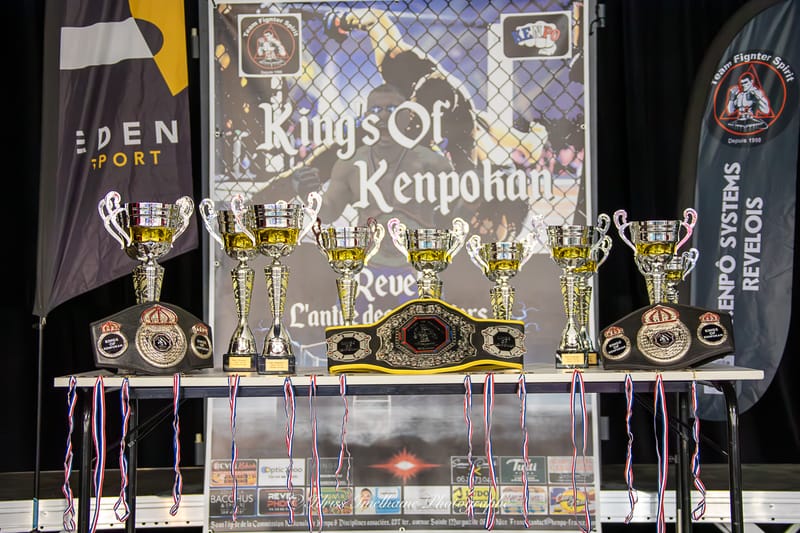 MMA COMBAT INTERNATIONAL - REVEL - 7 JUIN 2025