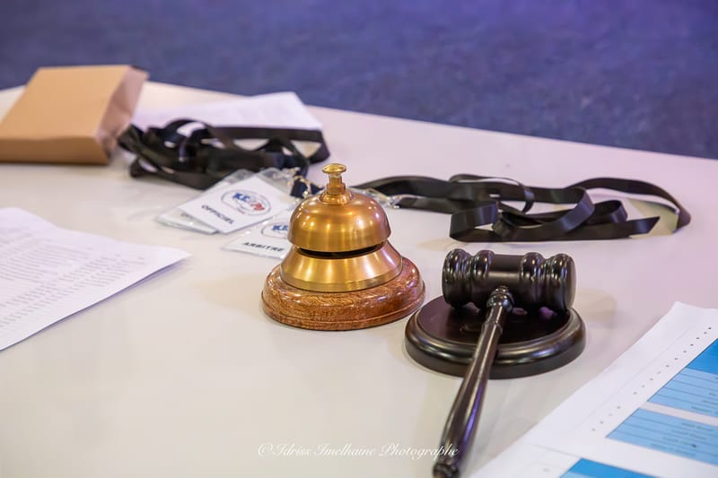 MMA COMBAT INTERNATIONAL - REVEL - 7 JUIN 2025