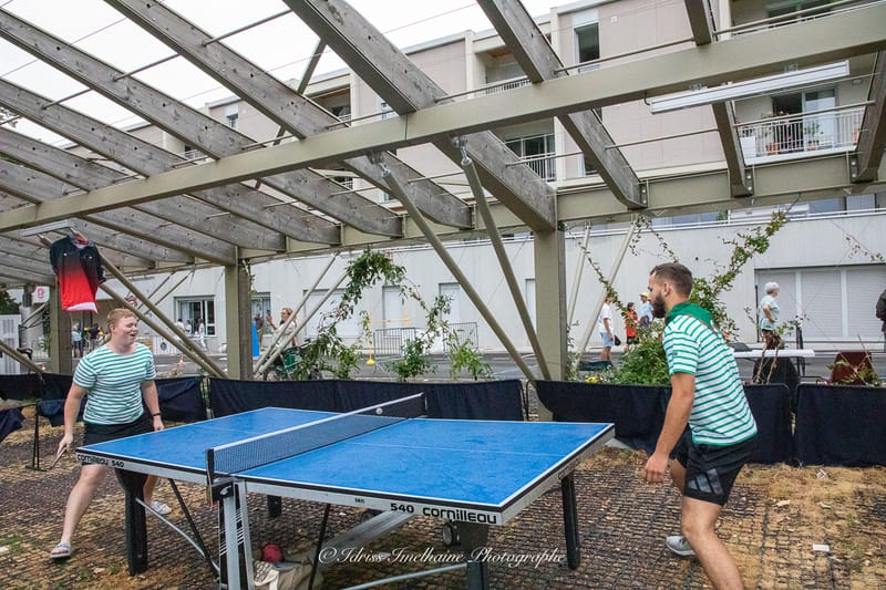 Festi'Menthe - Sports - Concerts - Jeux - Fête - Revel - 19 & 20 Juillet 2025