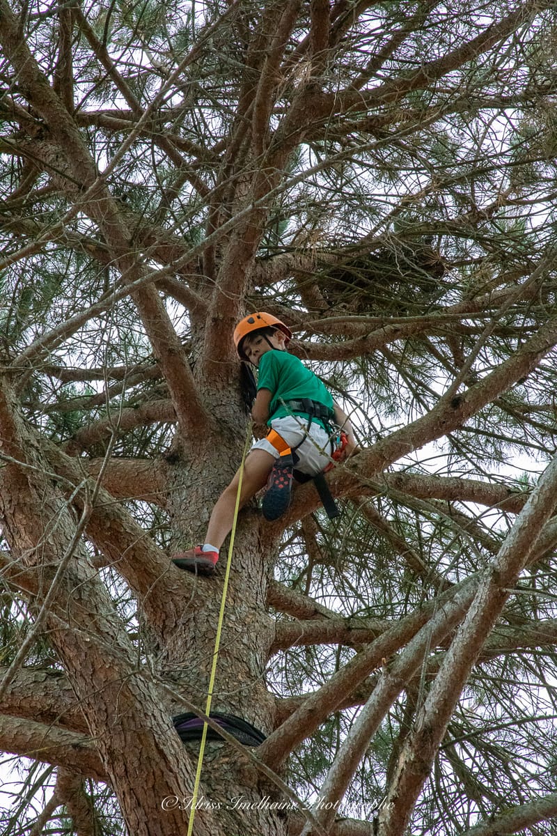 Festi'Menthe - Sports - Concerts - Jeux - Fête - Revel - 19 & 20 Juillet 2025