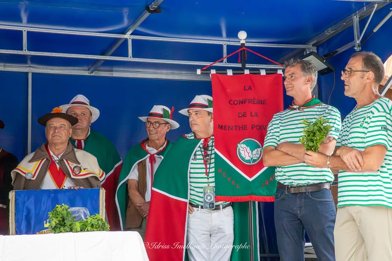 Festi'Menthe - Sports - Concerts - Jeux - Fête - Revel - 19 & 20 Juillet 2025