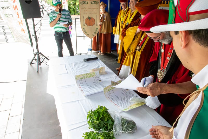 Festi'Menthe - Sports - Concerts - Jeux - Fête - Revel - 19 & 20 Juillet 2025