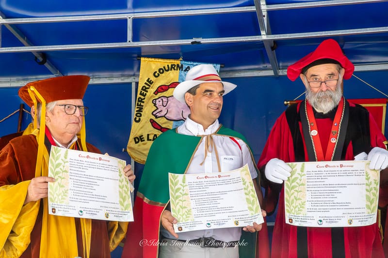 Festi'Menthe - Sports - Concerts - Jeux - Fête - Revel - 19 & 20 Juillet 2025