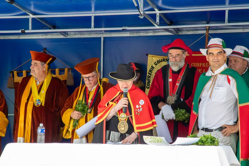 Festi'Menthe - Sports - Concerts - Jeux - Fête - Revel - 19 & 20 Juillet 2025