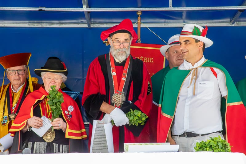 Festi'Menthe - Sports - Concerts - Jeux - Fête - Revel - 19 & 20 Juillet 2025