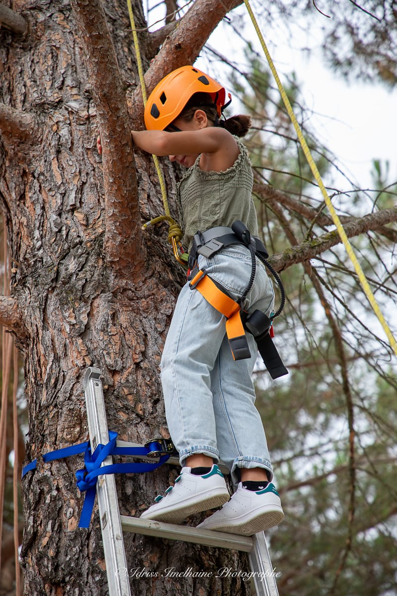 Festi'Menthe - Sports - Concerts - Jeux - Fête - Revel - 19 & 20 Juillet 2025