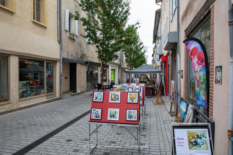 Festi'Menthe - Sports - Concerts - Jeux - Fête - Revel - 19 & 20 Juillet 2025