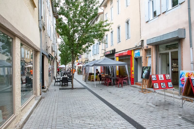 Festi'Menthe - Sports - Concerts - Jeux - Fête - Revel - 19 & 20 Juillet 2025