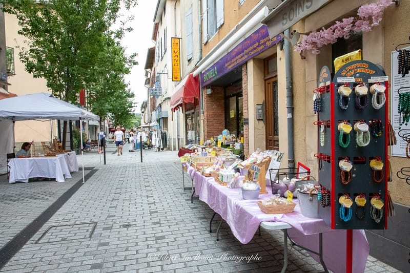 Festi'Menthe - Sports - Concerts - Jeux - Fête - Revel - 19 & 20 Juillet 2025