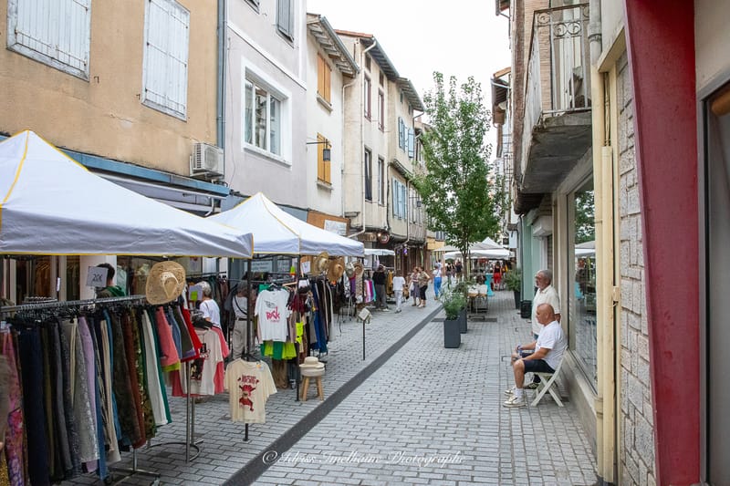 Festi'Menthe - Sports - Concerts - Jeux - Fête - Revel - 19 & 20 Juillet 2025