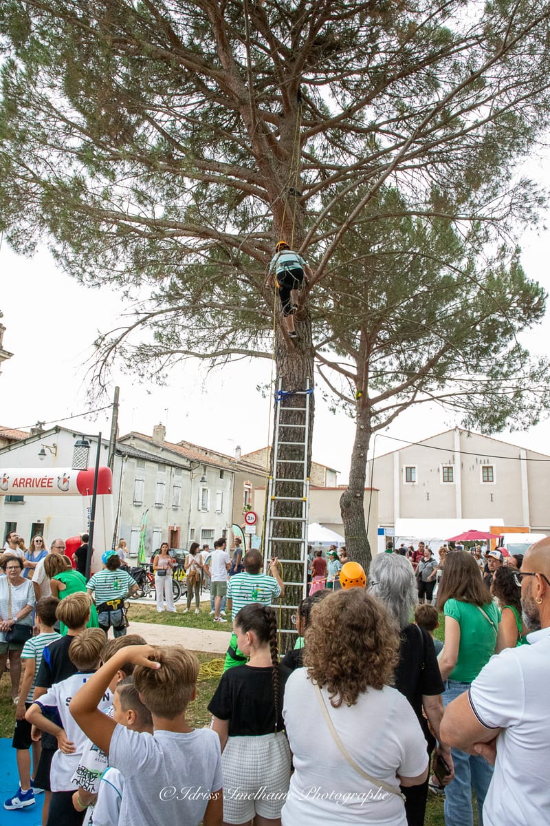 Festi'Menthe - Sports - Concerts - Jeux - Fête - Revel - 19 & 20 Juillet 2025