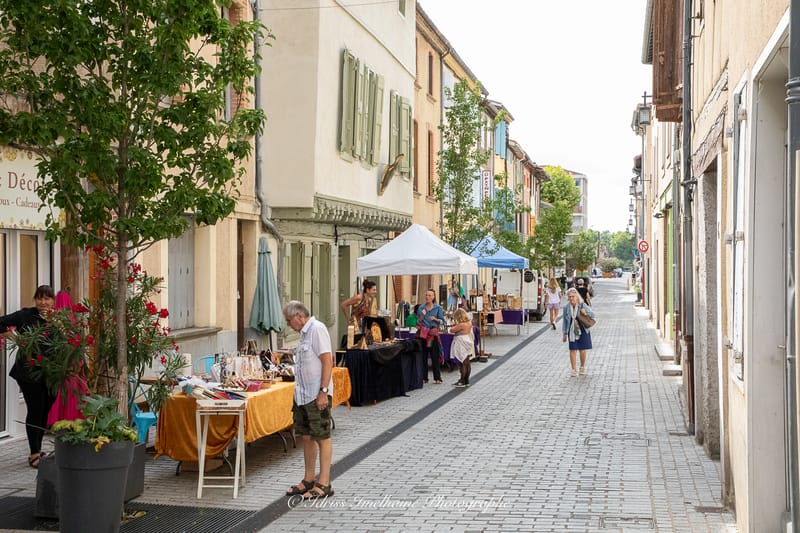 Festi'Menthe - Sports - Concerts - Jeux - Fête - Revel - 19 & 20 Juillet 2025