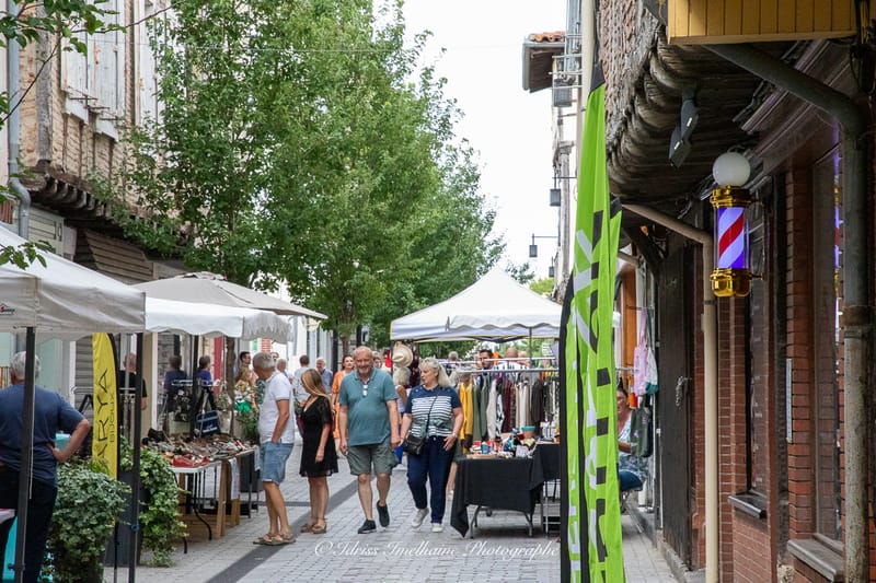 Festi'Menthe - Sports - Concerts - Jeux - Fête - Revel - 19 & 20 Juillet 2025