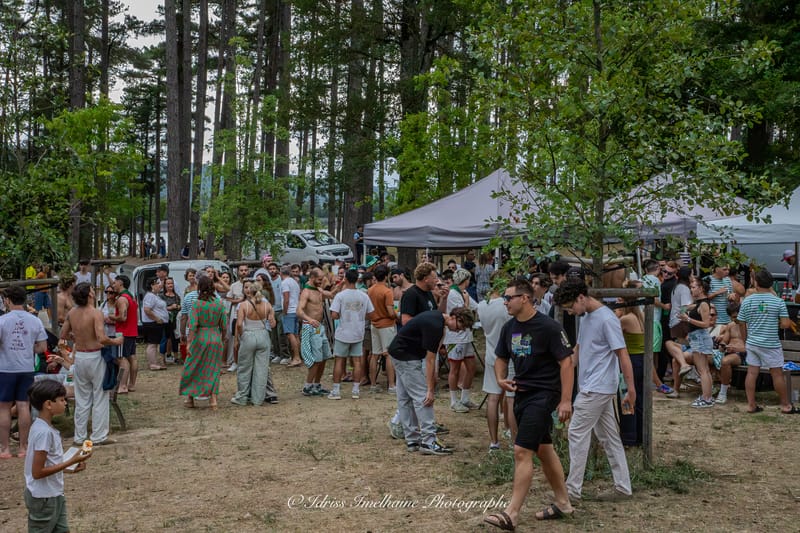 Festi'Menthe - Sports - Concerts - Jeux - Fête - Revel - 19 & 20 Juillet 2025