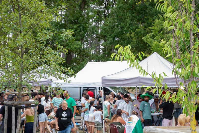 Festi'Menthe - Sports - Concerts - Jeux - Fête - Revel - 19 & 20 Juillet 2025