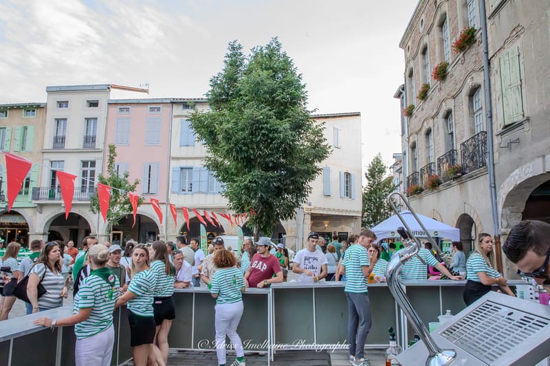 Festi'Menthe - Sports - Concerts - Jeux - Fête - Revel - 19 & 20 Juillet 2025