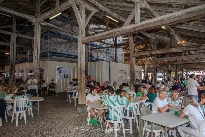 Festi'Menthe - Sports - Concerts - Jeux - Fête - Revel - 19 & 20 Juillet 2025