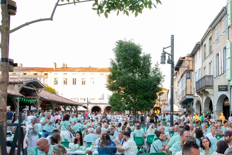 Festi'Menthe - Sports - Concerts - Jeux - Fête - Revel - 19 & 20 Juillet 2025