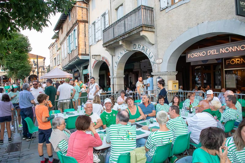 Festi'Menthe - Sports - Concerts - Jeux - Fête - Revel - 19 & 20 Juillet 2025