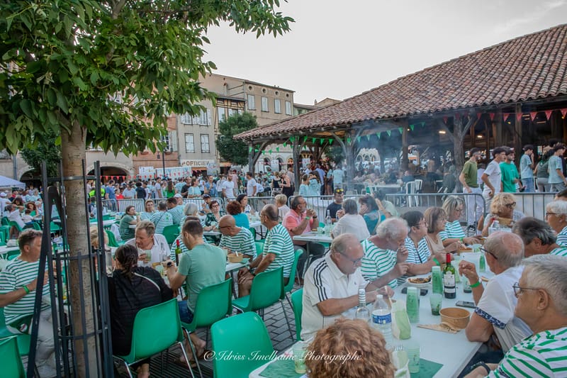 Festi'Menthe - Sports - Concerts - Jeux - Fête - Revel - 19 & 20 Juillet 2025