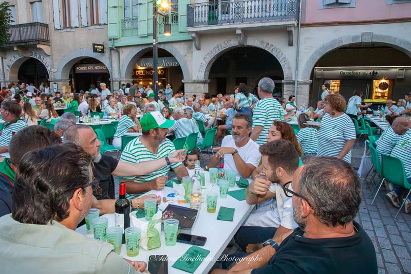 Festi'Menthe - Sports - Concerts - Jeux - Fête - Revel - 19 & 20 Juillet 2025