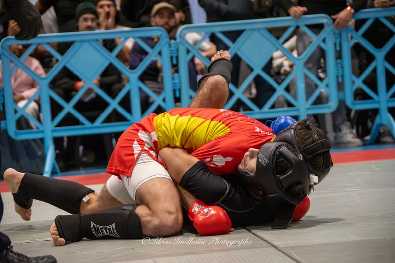 Open du Sud de Kenpo & Gala de MMA - 6 décembre 2025