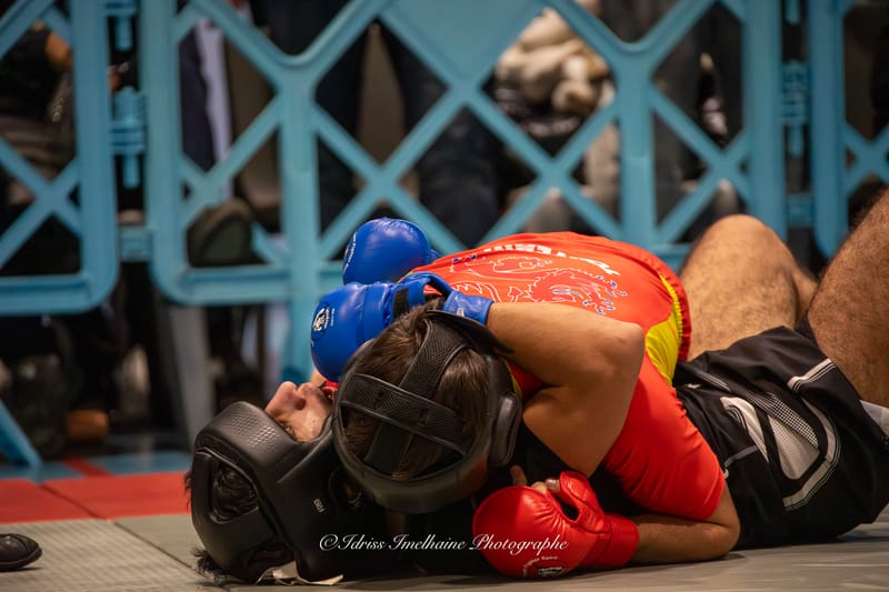 Open du Sud de Kenpo & Gala de MMA - 6 décembre 2025