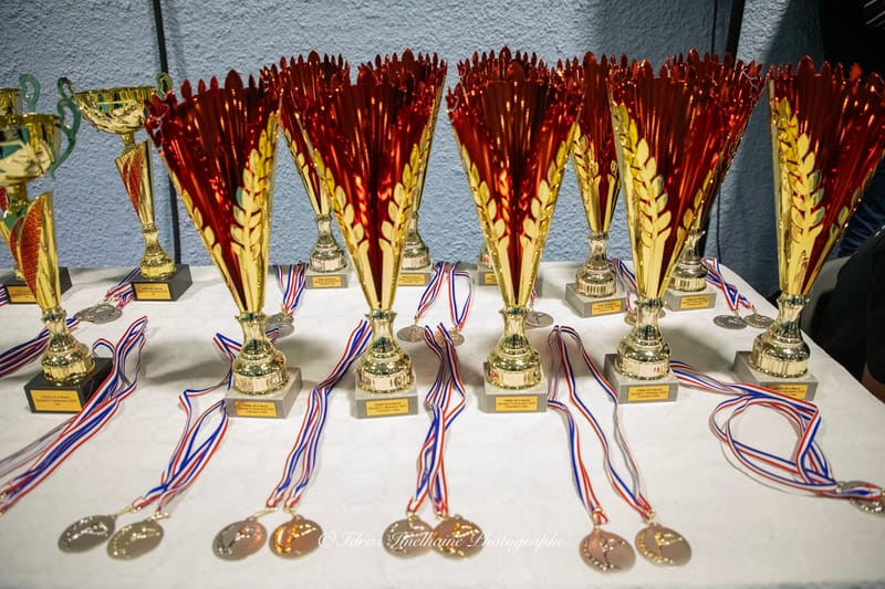 Open du Sud de Kenpo & Gala de MMA - 6 décembre 2025