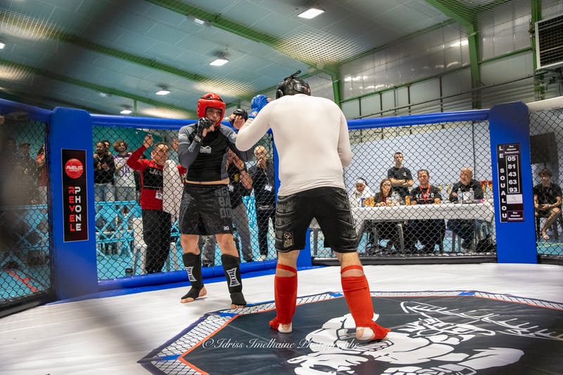 Open du Sud de Kenpo & Gala de MMA - 6 décembre 2025