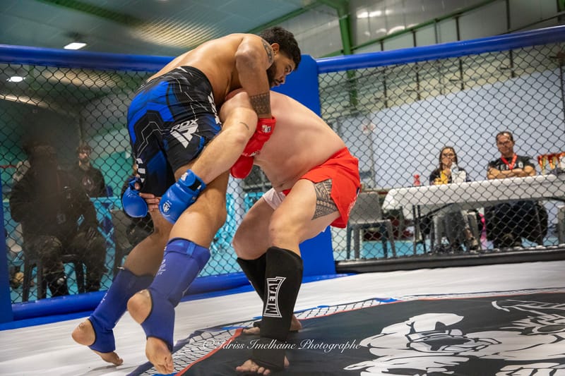 Open du Sud de Kenpo & Gala de MMA - 6 décembre 2025