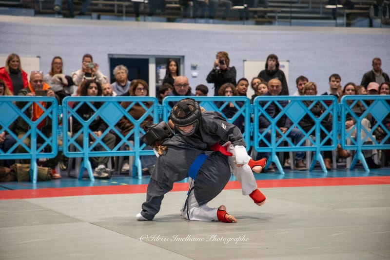 Open du Sud de Kenpo & Gala de MMA - 6 décembre 2025