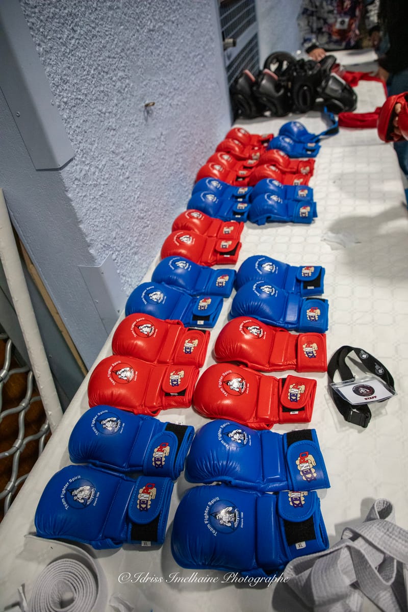 Open du Sud de Kenpo & Gala de MMA - 6 décembre 2025