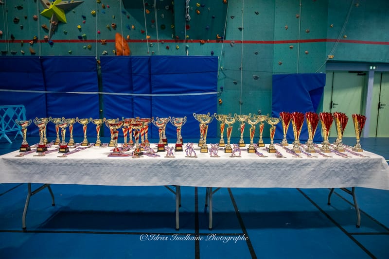 Open du Sud de Kenpo & Gala de MMA - 6 décembre 2025