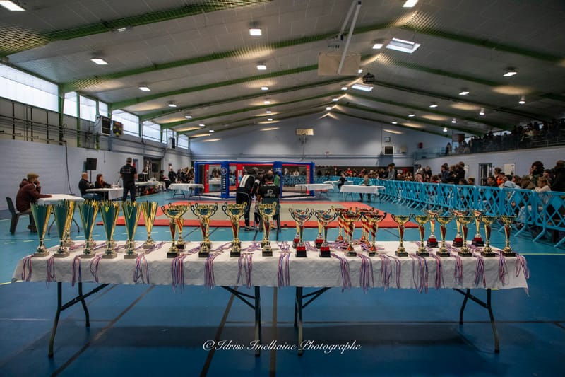 Open du Sud de Kenpo & Gala de MMA - 6 décembre 2025