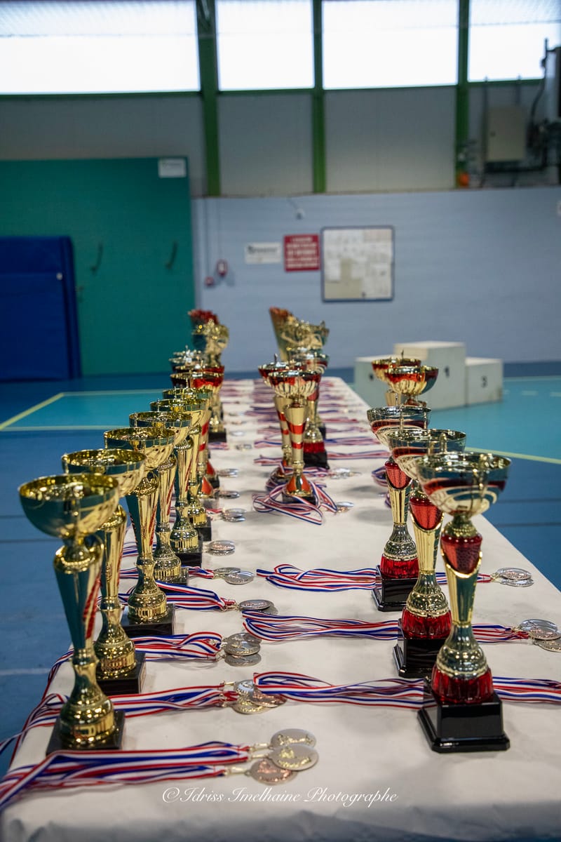 Open du Sud de Kenpo & Gala de MMA - 6 décembre 2025