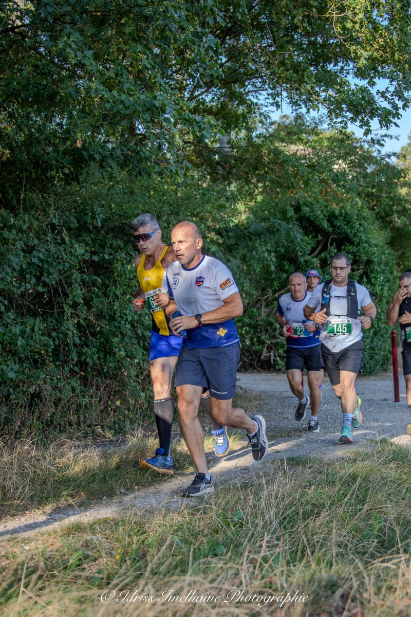  FESTI'RUN Trail REVEL - 18 Juillet 2026 