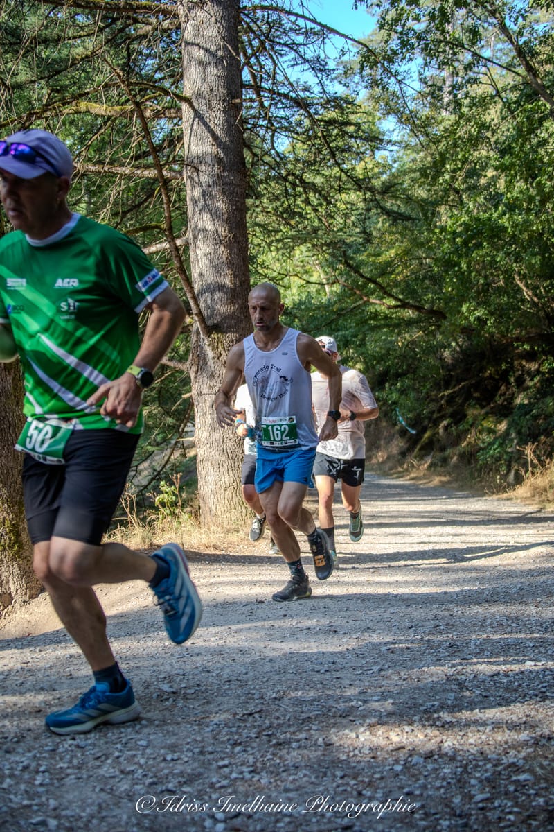  FESTI'RUN Trail REVEL - 18 Juillet 2026 